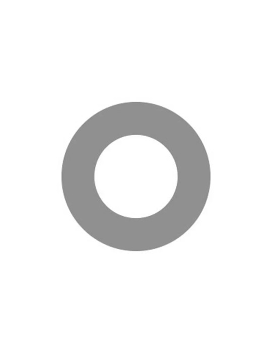 REPLACEMENT SILVER PTT LABEL (10 PER PACK), OMNI RSM NEXUS 3.5MM (PMMN4150/PMMN4151) REPLACEMENT SILVER PTT LABEL (10 PER PACK), OMNI RSM NEXUS 3.5MM (PMMN4150/PMMN4151)